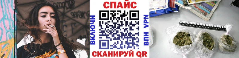 Купить где  Фрязино  БУТИРАТ буратино 