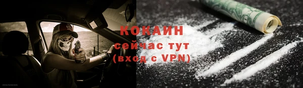 гидра Бородино