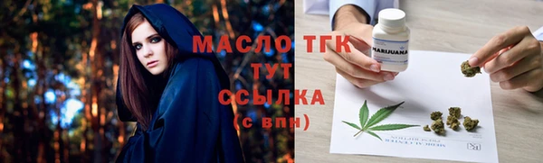 гидра Бородино