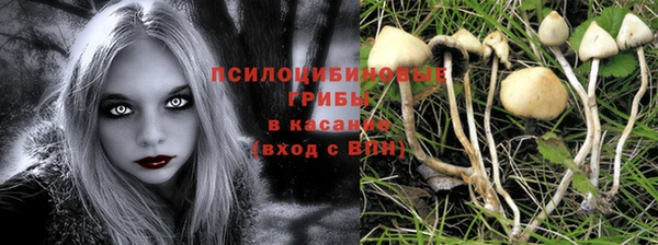 таблы Бронницы