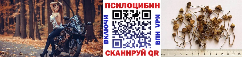 Псилоцибиновые грибы Psilocybine cubensis  Купить закладки  Фрязино 