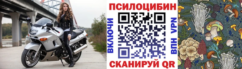 Псилоцибиновые грибы мицелий Фрязино